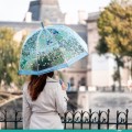 Parasol dla dorosłych Djeco- PTAKI     P/DJ/DD04721