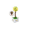 Miniaturowe drzewko cytrynowe      473/6