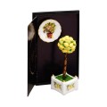 Miniaturowe drzewko cytrynowe      473/6
