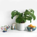 FRIDA KAHLO Porcelanowy dzbanuszek / mlecznik    FRIJUGTR001