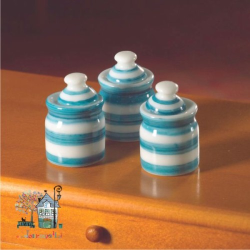 Pojemniki w błękitne pasy Z/DHE/5929