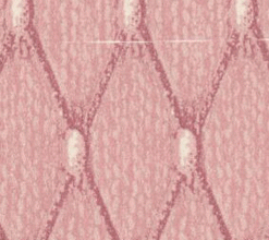 Tapeta ciemny róż Z/CR/879943A