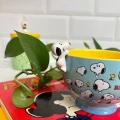 Kubek / Filiżanka duża PEANUTS "Snoopy Be Happy"