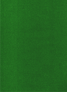 Wykładzina dywanowa "Green"