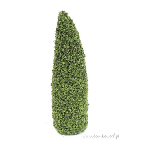 Krzew 17 cm  Z/CR/6219