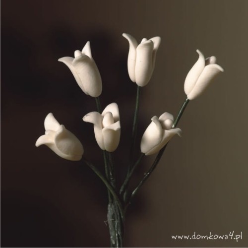 Tulipany białe 6 szt Z/DHE/4798